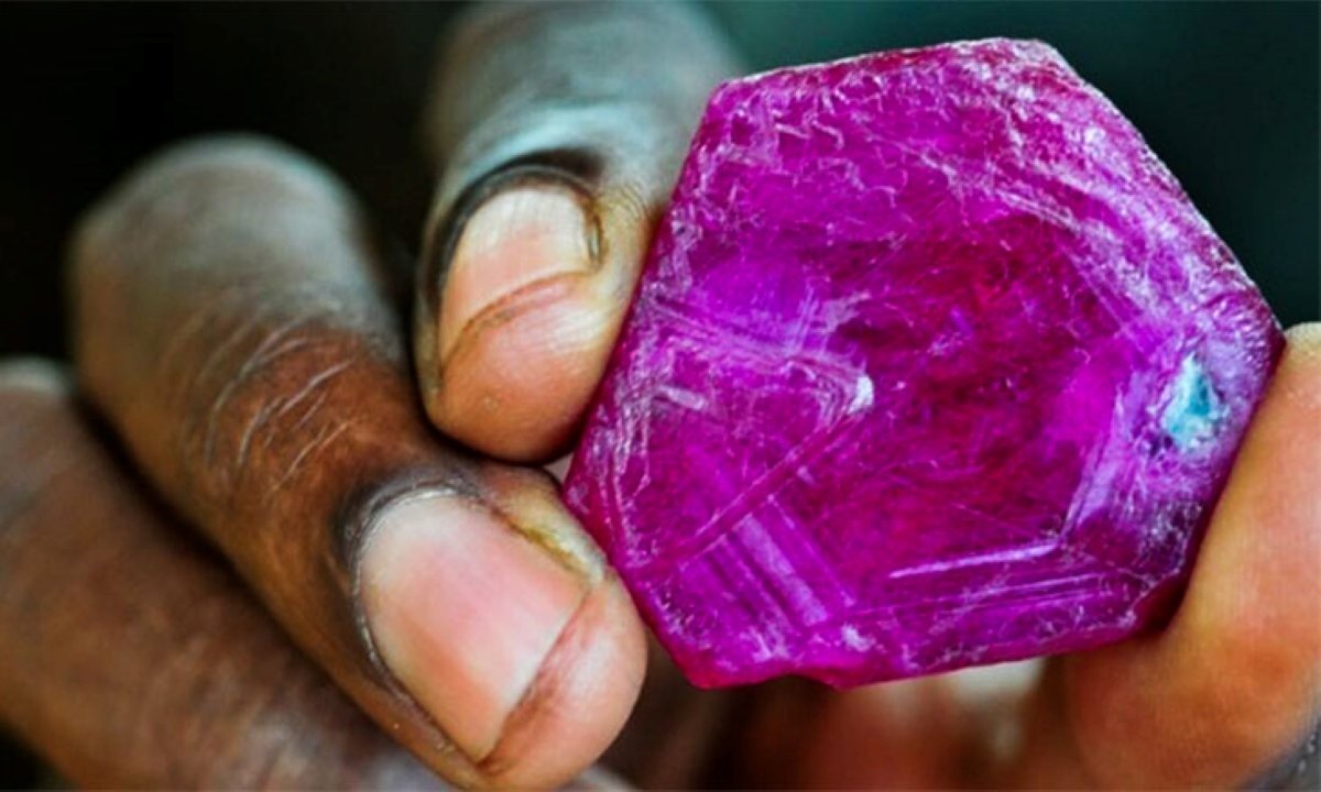 Gemfields Garante 52 Milhões de Dólares em Leilão de Rubis em Moçambique