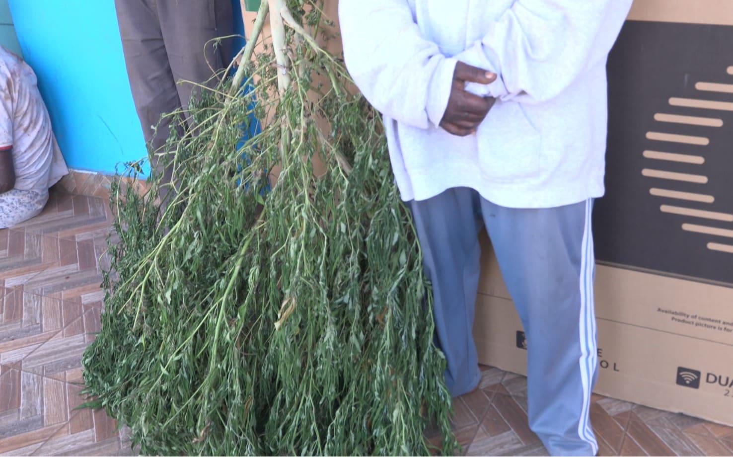 Militar Detido em Boane por Cultivo Ilegal de Cannabis