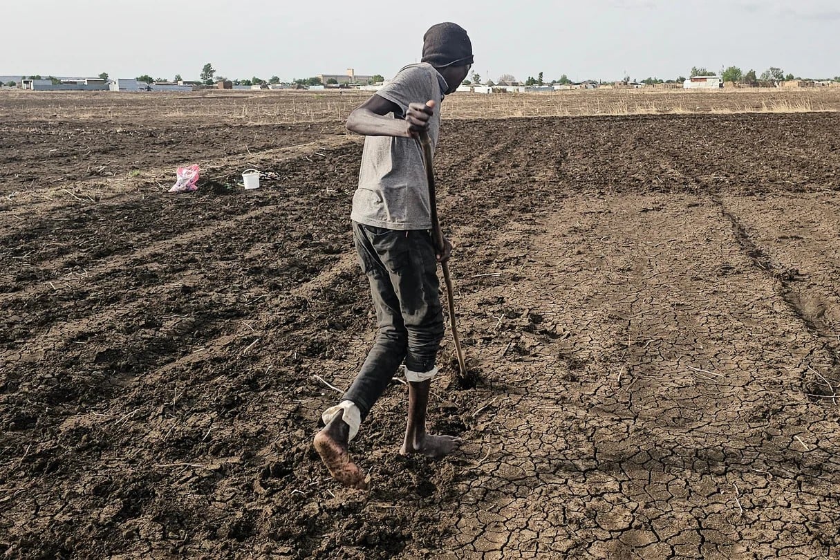 El Niño pode custar à África 20 mil milhões de dólares: os impactos mais severos