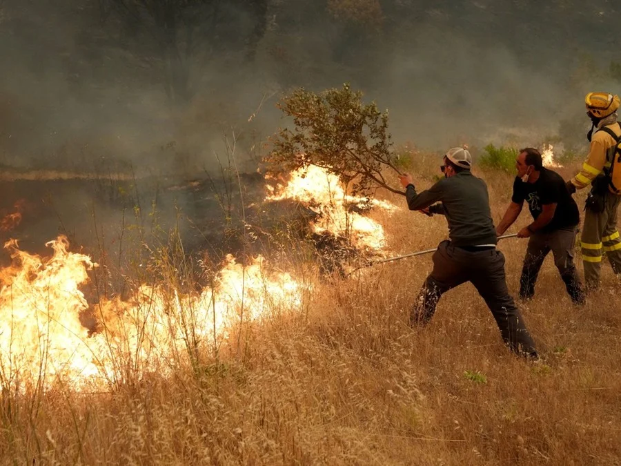 Incêndios devastadores obrigam evacuação em França e Espanha