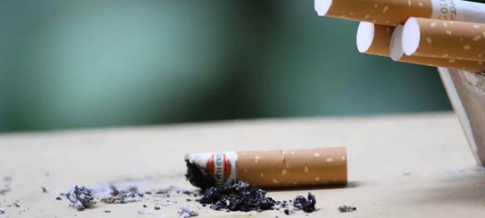 Crescimento da Produção de Tabaco em África e os Alertas da OMS