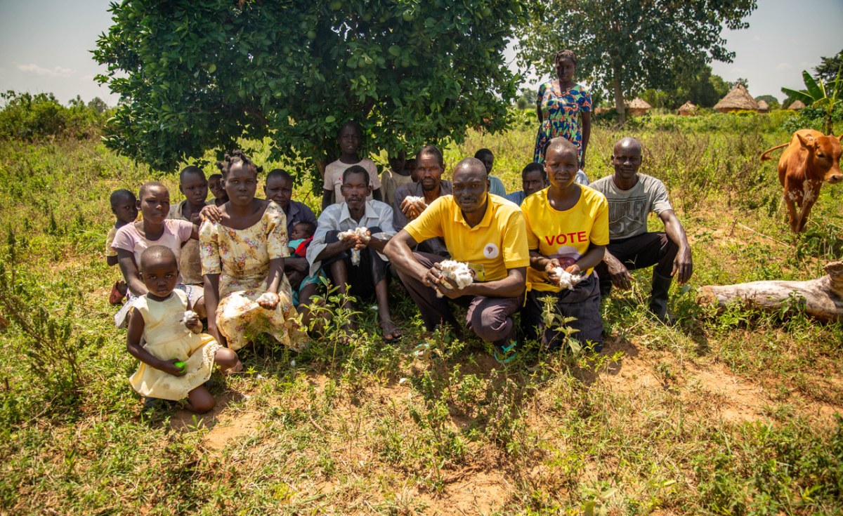 Agricultores de Algodão em Uganda Fortalecem sua Posição no Mercado